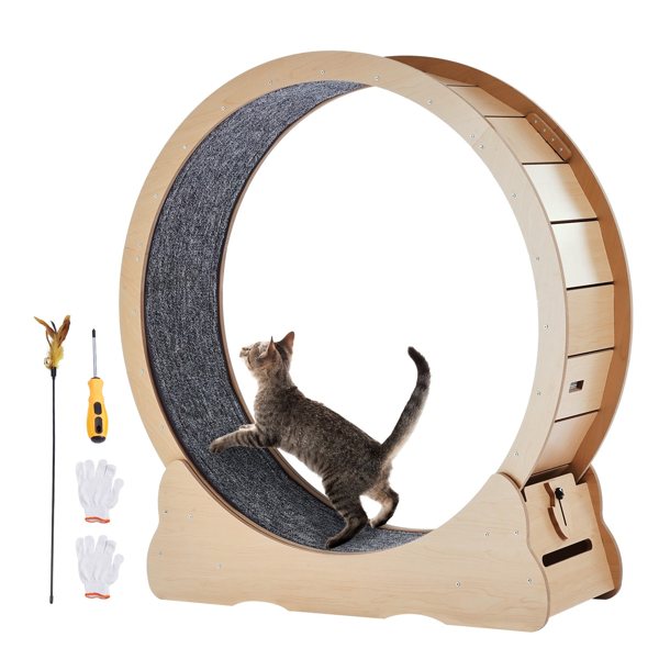Cat exercise wheel