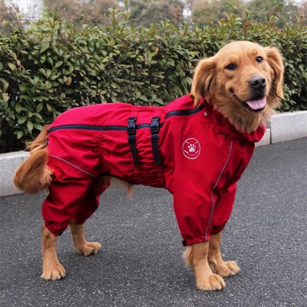 Full-body dog raincoat