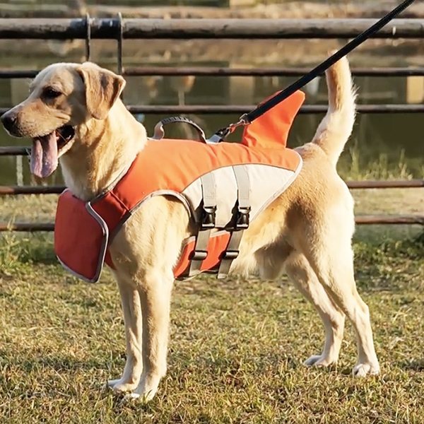 Dog life jacket